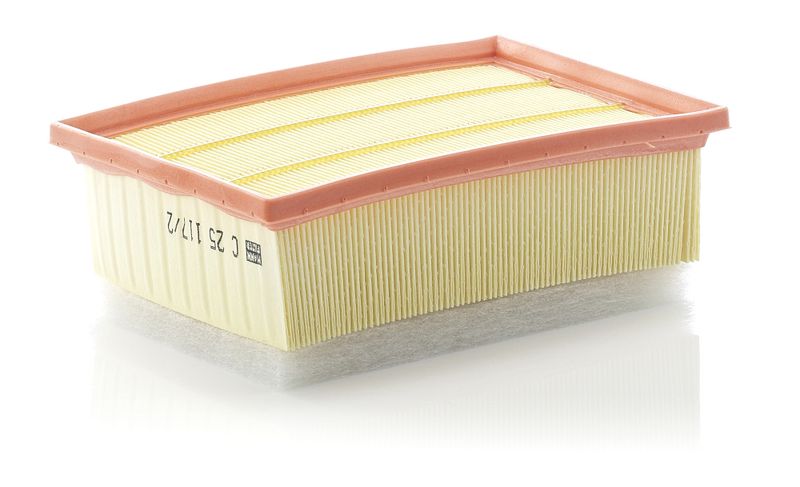 Ilmansuodatin - C 25 117/2