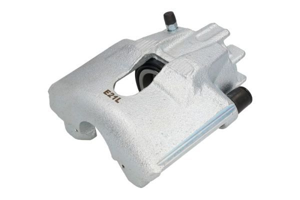 Jarrusatula - CZH1038