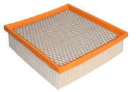 Gaisa filtrs - B2X061PR