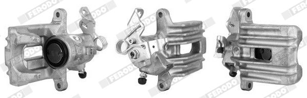 Jarrusatula - FCL694519