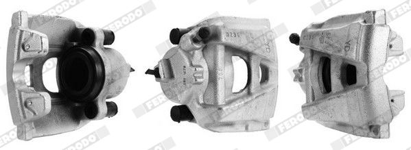Jarrusatula - FCL695027