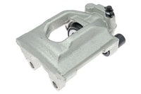 Jarrusatula - CZH1603