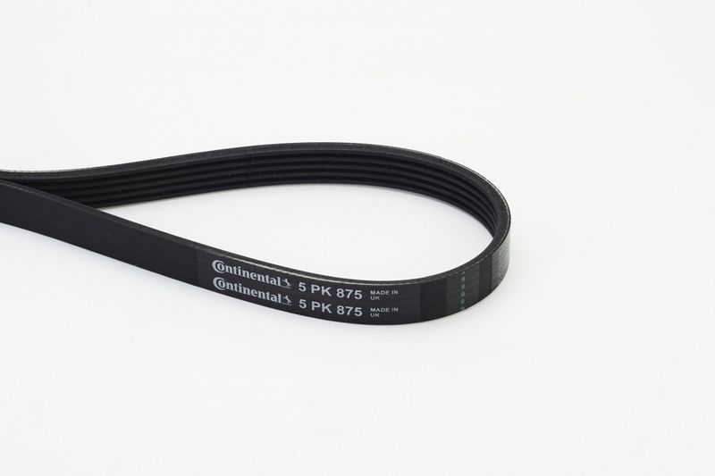 Celiņu siksna - 5PK875