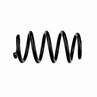 Jousi (auton jousitus) - R10907