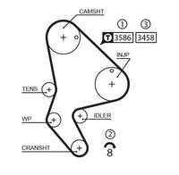 Zobsiksnas komplekts - K015524XS