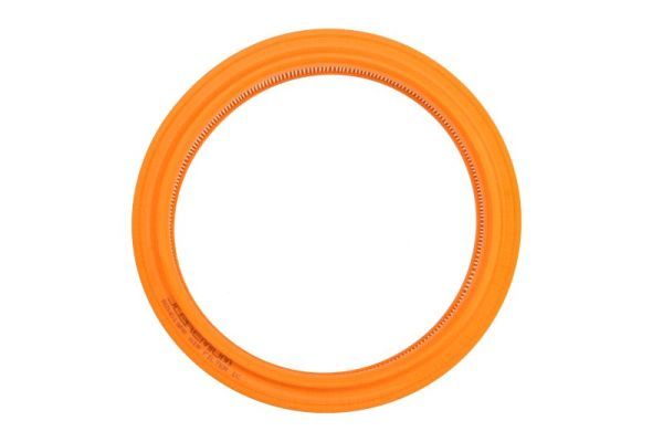 Gaisa filtrs - B2W019PR