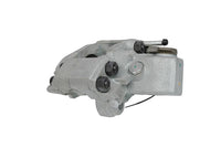Jarrusatula - 24.4544-0022.5