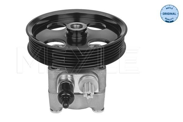 Hydrauliikkapumppu, ohjaus - 514 631 0013