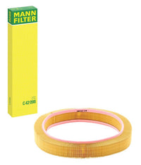Gaisa filtrs - C 42 098