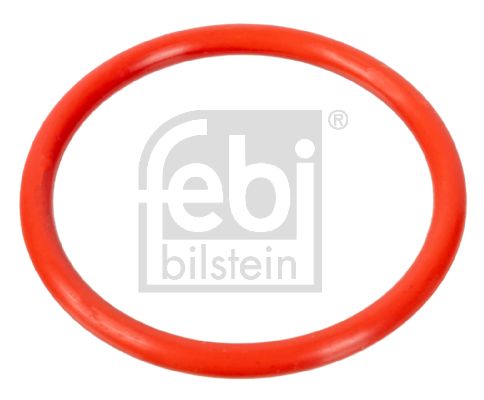 Blīve, Dzesēšanas šķidruma flancis - 100078