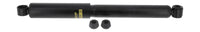 Amortizators - D4484S