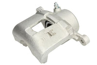 Jarrusatula - CZH1030