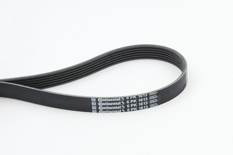 Celiņu siksna - 6PK1613