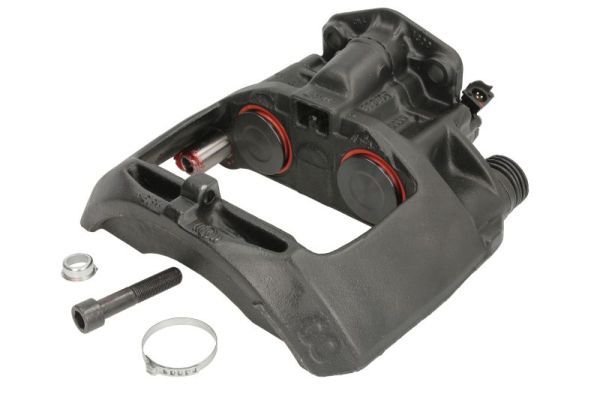 Jarrusatula - TEQ-BC.033