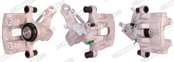 Jarrusatula - FCL694822