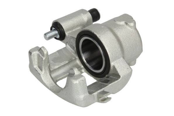 Jarrusatula - CZH1033