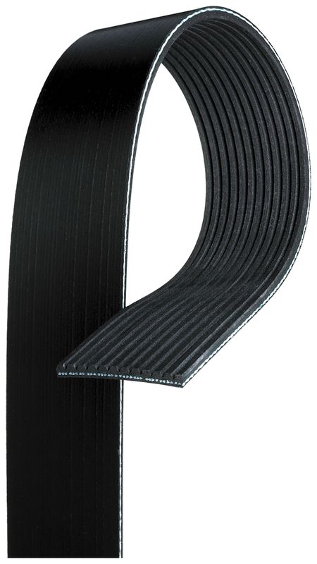 Celiņu siksna - 12PK717