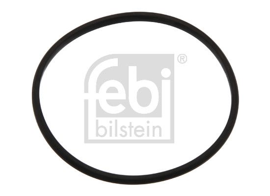 Blīve, Termostats - 11834