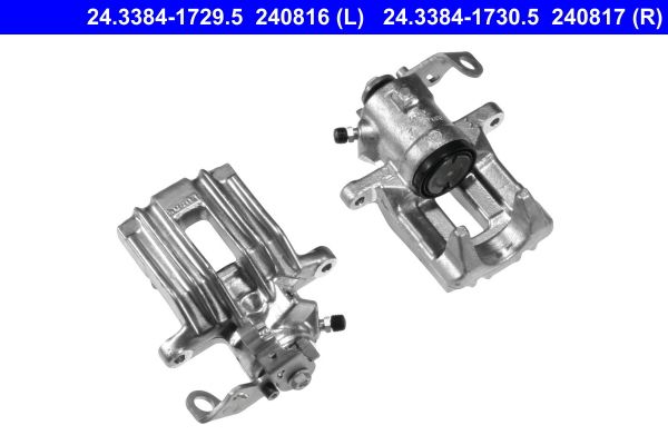 Jarrusatula - 24.3384-1729.5