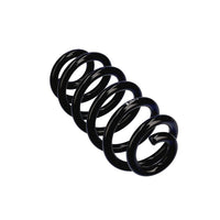 Balstiekārtas atspere - R22987