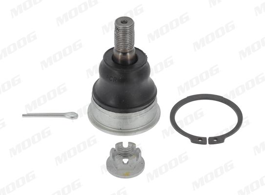 Pallonivel - ME-BJ-17468