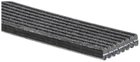 Celiņu siksna - 8DPK1410