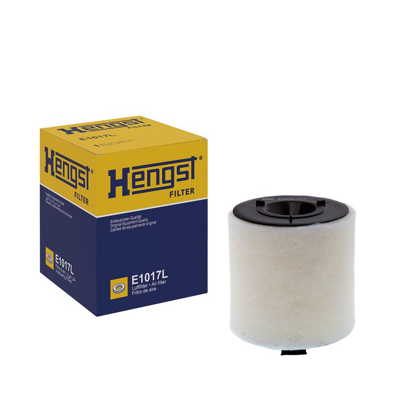 Gaisa filtrs - E1017L