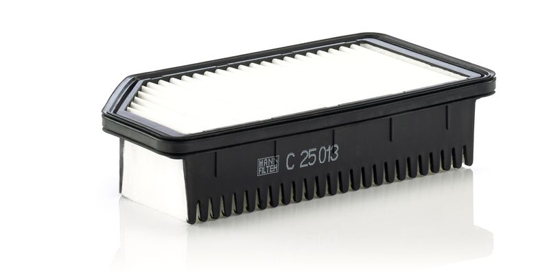 Ilmansuodatin - C 25 013