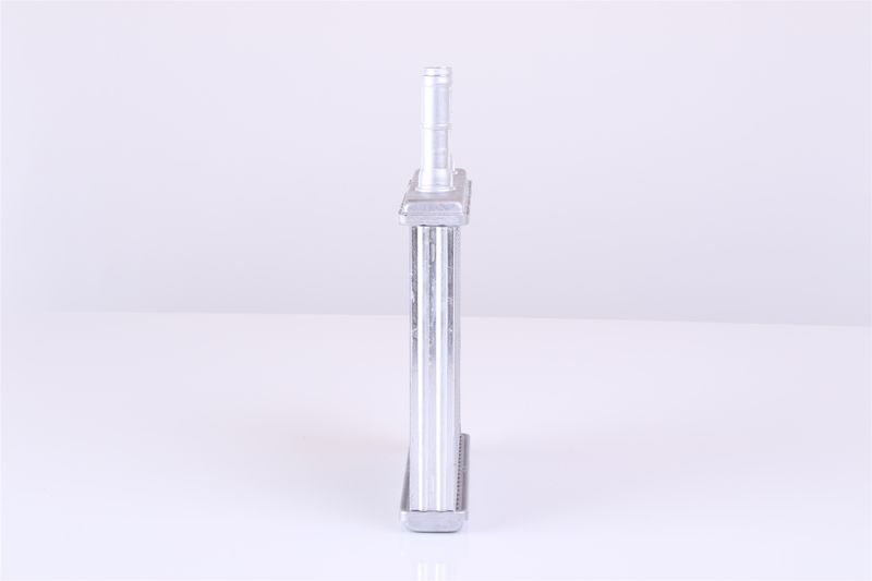 Siltummainis, Salona apsilde - 77613