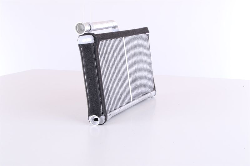 Siltummainis, Salona apsilde - 70233