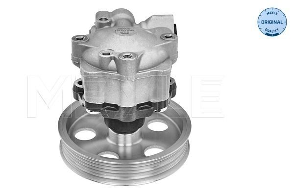 Hydrauliikkapumppu, ohjaus - 114 631 0042