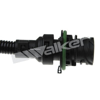 Motora dzesēsanas radiators - 10031004