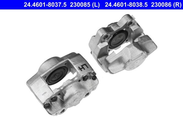 Jarrusatula - 24.4601-8037.5