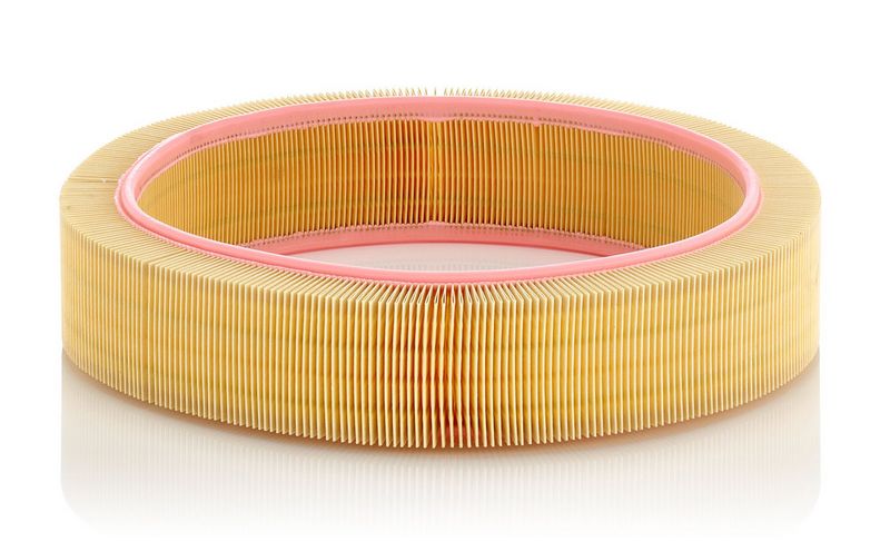 Gaisa filtrs - C 41 173