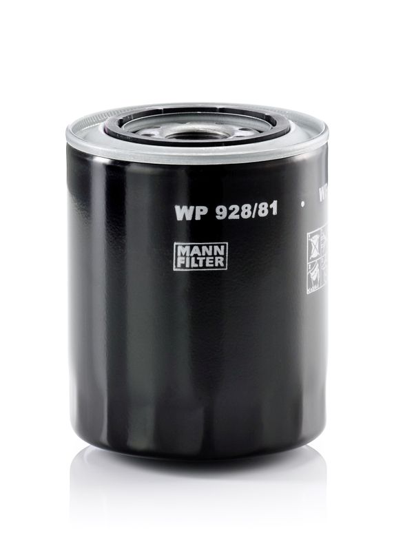 Öljynsuodatin - WP 928/81