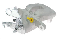 Jarrusatula - CZH1308