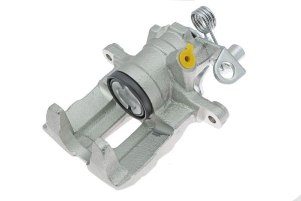 Jarrusatula - CZH1205
