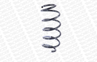 Jousi (auton jousitus) - SE3679
