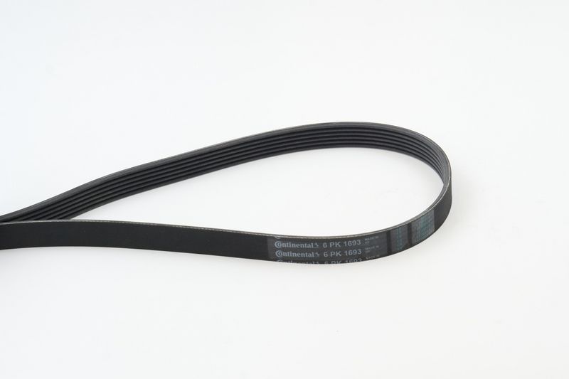Celiņu siksna - 6PK1693