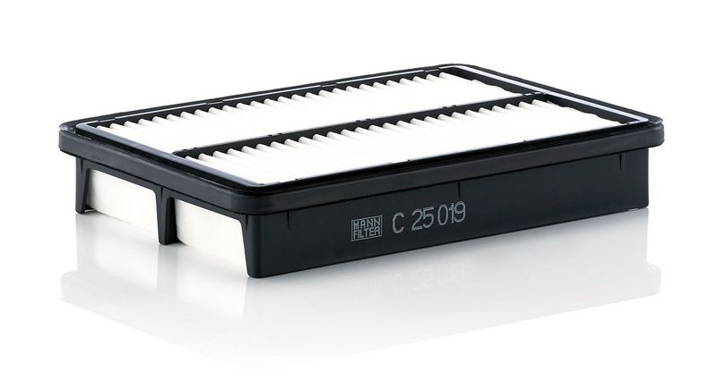 Gaisa filtrs - C 25 019