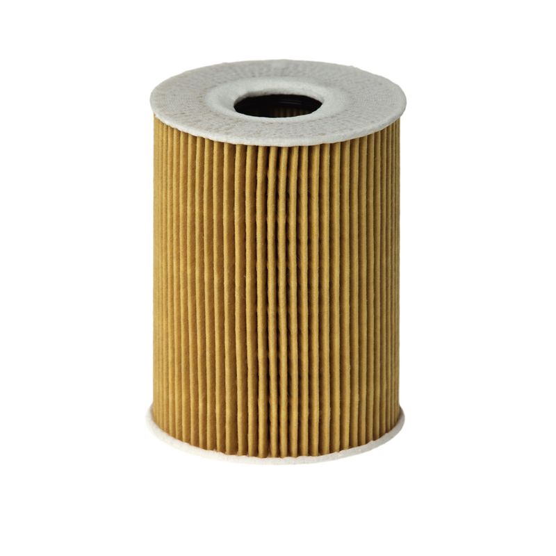Eļļas filtrs - E113H D181