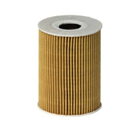 Eļļas filtrs - E113H D181