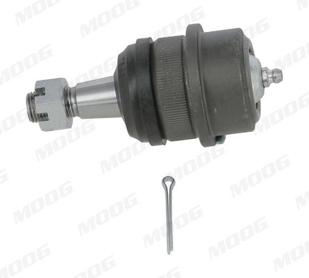 Pallonivel - CH-BJ-17264