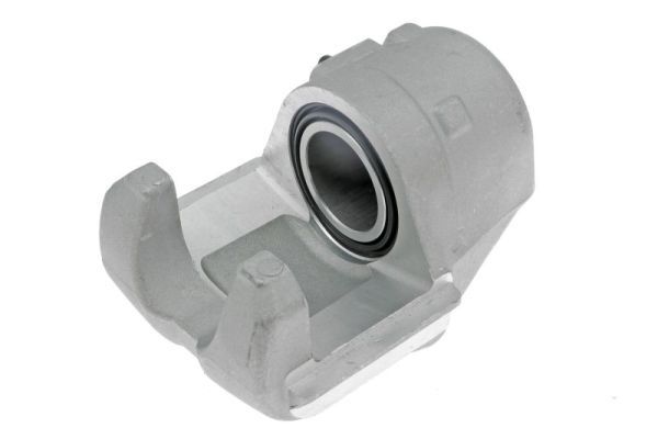 Jarrusatula - CZH1031