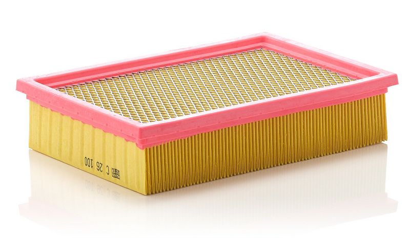 Ilmansuodatin - C 2610