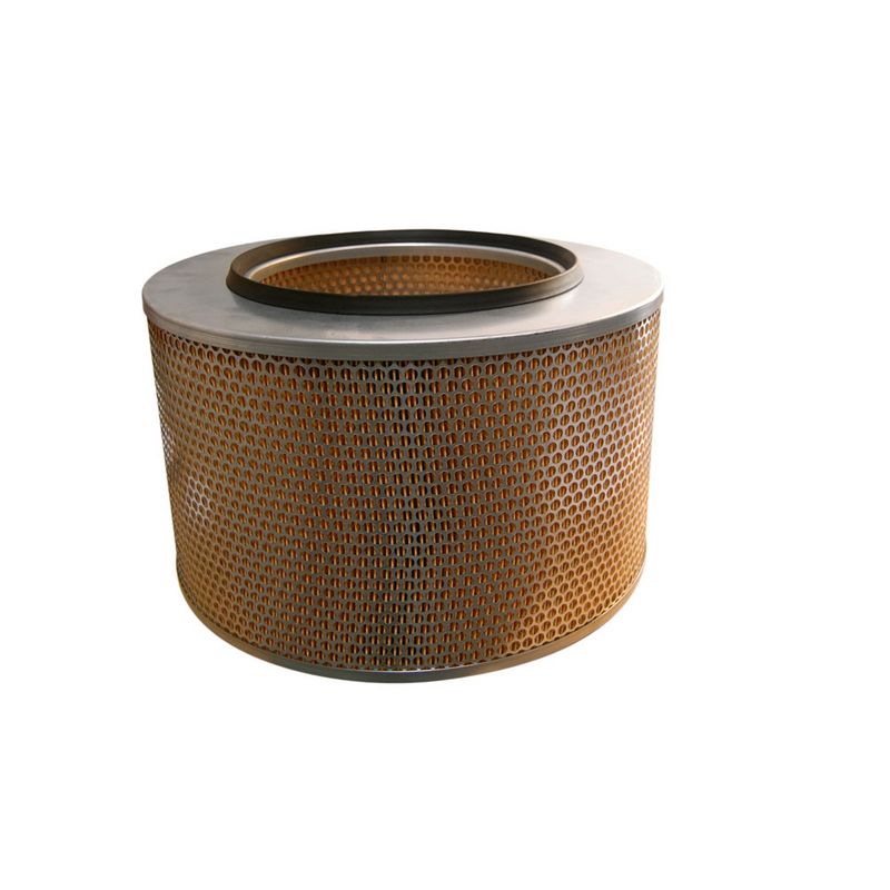Gaisa filtrs - AM 465/1