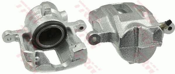 Jarrusatula - BHW243