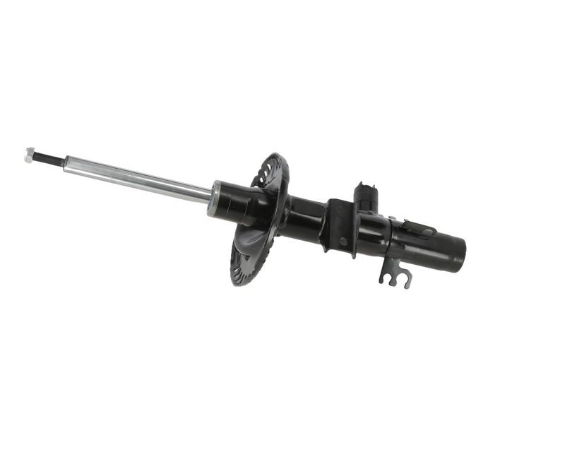 Amortizators - C2518L