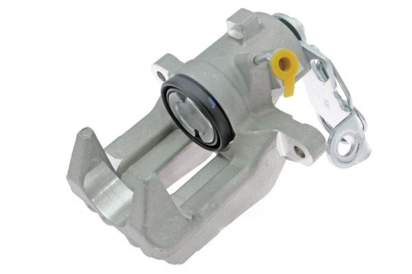 Jarrusatula - CZH1217