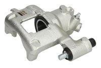 Jarrusatula - CZH1033
